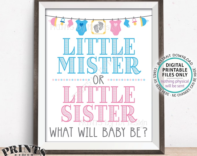 Gender Reveal Party Sign, Little Mister or Little Sister, Boy or Girl, Pink or Blue, PRINTABLE 8x10/16x20” Gender Reveal Sign <ID>