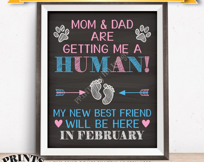 Pet Pregnancy Announcement Sign Mom & Dad are Getting Me a Human in FEBRUARY Dated Chalkboard Style PRINTABLE Baby Reveal for a Dog/Cat <ID>