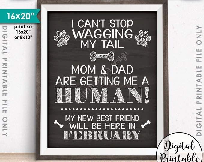 Dog Pregnancy Announcement, Mom & Dad are Getting Me a Human, Due in FEBRUARY Dated Chalkboard Style PRINTABLE Pregnancy Reveal Sign <ID>