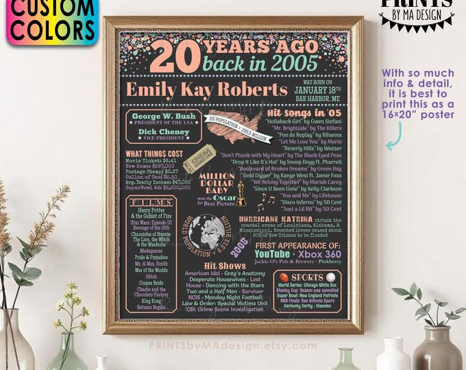 20th Birthday Poster Board, Back in the Year 2005 Birthday Sign, Flashback 20 Years Ago B-day Gift, Custom PRINTABLE 16x20” Born in '05 Sign