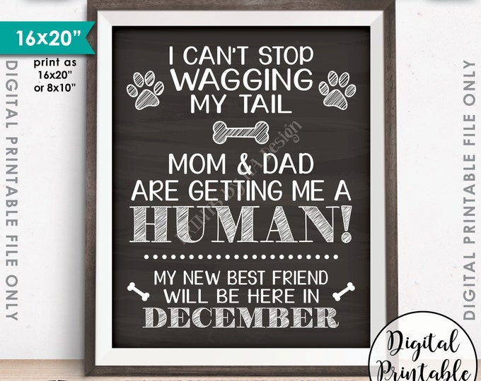 Dog Pregnancy Announcement, Dog Reveal, Mom & Dad are Getting Me a Human in DECEMBER Dated Chalkboard Style PRINTABLE Baby Reveal Sign <ID>