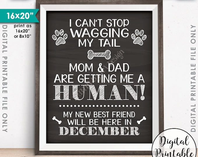 Dog Pregnancy Announcement, Dog Reveal, Mom & Dad are Getting Me a Human in DECEMBER Dated Chalkboard Style PRINTABLE Baby Reveal Sign <ID>