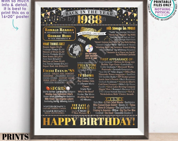 Back in the Year 1988 Birthday Sign, Flashback to 1988 Poster Board, ‘88 B-day Gift, Bday Decoration, PRINTABLE 16x20” Sign <ID>