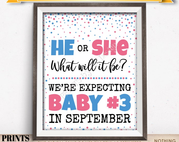 Baby Number 3 Pregnancy Announcement, He or She What Will It Be We're Expecting Baby #3 in SEPTEMBER Dated PRINTABLE Sign <ID>