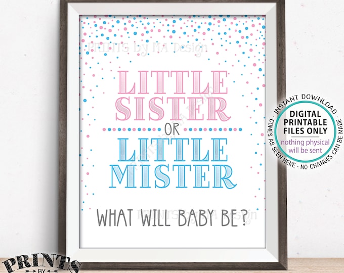 Gender Reveal Party Sign, Little Sister or Little Mister, PRINTABLE 8x10/16x20” Gender Reveal Sign, Pink & Blue Confetti <ID>