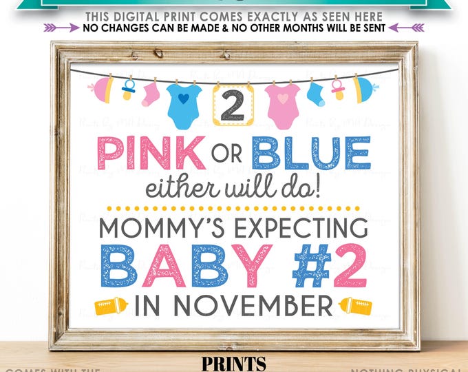 Baby Number 2 Pregnancy Announcement Sign, Pink or Blue Either Will Do, Baby #2 Due in NOVEMBER, PRINTABLE 8x10/16x20” Baby Reveal Sign <ID>