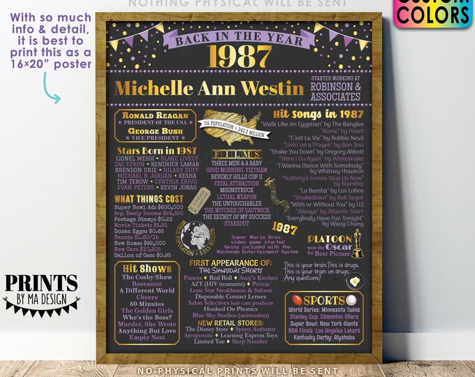 Back in the Year 1987 Retirement Party Sign, Flashback to 1987 Poster Board, Custom PRINTABLE 16x20” Retirement Party Decoration