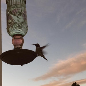 Puede incluir: Un colibr&iacute; en vuelo se acerca a un comedero de colibr&iacute; de vidrio verde con una base rosa. El comedero est&aacute; colgado de un gancho. El fondo es un cielo azul con nubes blancas.