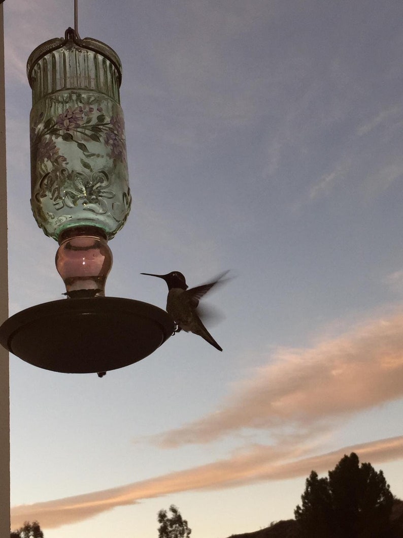Puede incluir: Un colibr&iacute; en vuelo se acerca a un comedero de colibr&iacute; de vidrio verde con una base rosa. El comedero est&aacute; colgado de un gancho. El fondo es un cielo azul con nubes blancas.