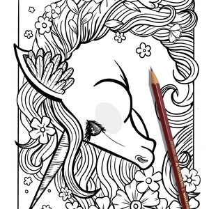Disegno di Unicorno, disegno di unicorno da colorare, disegno di unicorno da colorare per bambini, pagina unicorno per adulti
