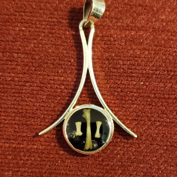 OOAK Sterling Silver Pendant with Tiny Bones Retrieved from Wild Owl Pellet