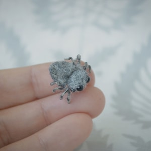 Kleine Spinne,niedliche Mikro Spinne, Neele gefilzte Skulptur, Puppenhaus, Puppenhaus, Spinne aus Filz