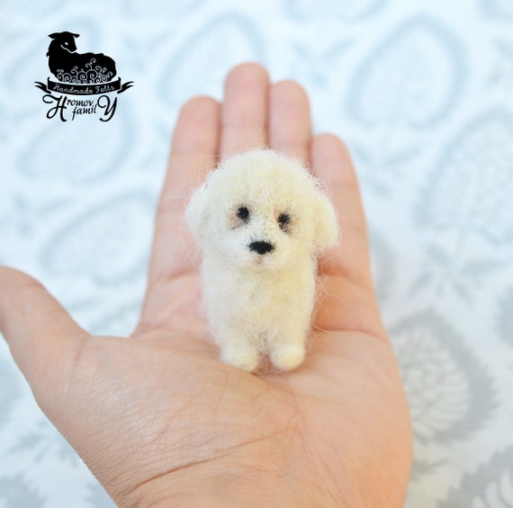 tiny white dog