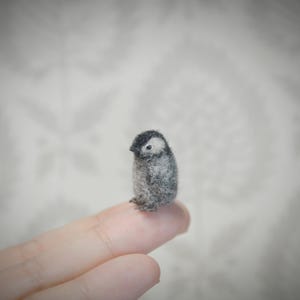 Tiny needle felted penguin – handmade wool bird miniature
