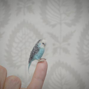 Needle Felted Budgerigar Miniature, Wool Parrot Sculpture