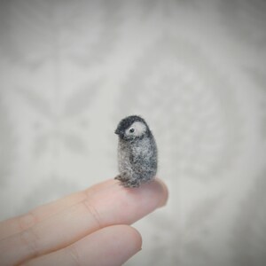 Tiny needle felted penguin – handmade wool bird miniature