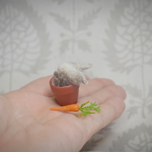 May include: A miniature terracotta pot with a small, fluffy, gray plant and a tiny orange carrot with green leaves. The items are held in a hand, showcasing the small scale of the objects.