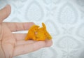 Needle felted Red licking cat ,  little Pet  tiny miniature, woolen soft sculpture, Handmade mini  dollhouse cat product logo