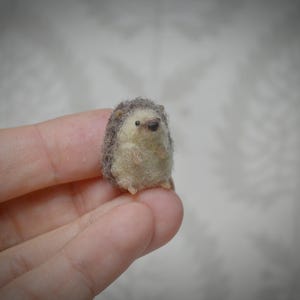 Puede incluir: Una pequeña figura de erizo hecha a mano con fieltro. Tiene un cuerpo marrón claro, espinas grises y pequeños ojos negros. El animal en miniatura se sostiene en una mano, destacando su tamaño y detalle. Un encantador artículo decorativo hecho a mano.