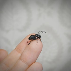 Pequeña figura realista de hormiga, miniatura de animal de microresina hecha a mano del tamaño de la punta de un dedo.