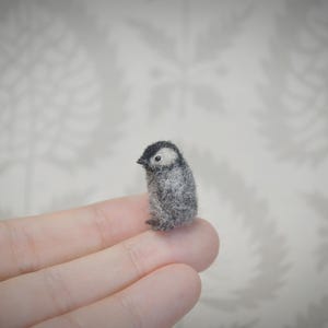 Tiny needle felted penguin – handmade wool bird miniature