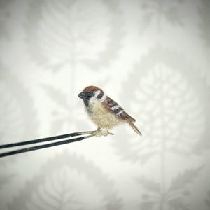 Nadel gefilzte Spatz Miniatur, Wollvogel-Puppenhaus Sammlerstück