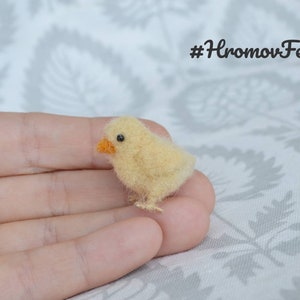 Needle felted chick, , felted  farm animals, tiny hen, collectible  miniature