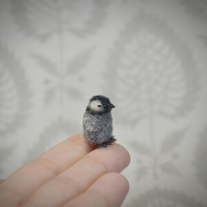 Tiny needle felted penguin – handmade wool bird miniature