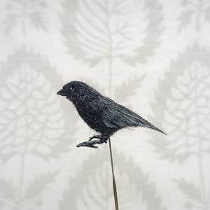 Black Raven Miniature Felted Mini Bird Collectible Doll Raven Miniature Birds OOAK Handmade