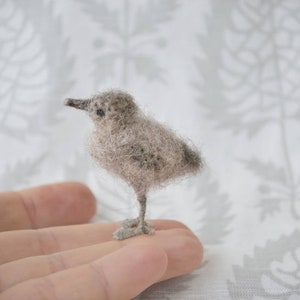 Gull baby miniature, dollhouse Tiny needle felted birds, bird lover gift, OOAK