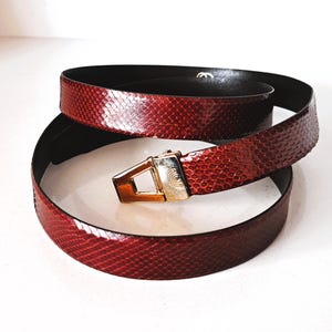 Vibora Industria Argentina by Roberto Capucci Snakeskin Brown Belt with Enamel Buckle