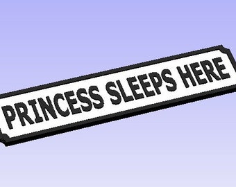 Princess Lives Here Vintage Street Sign