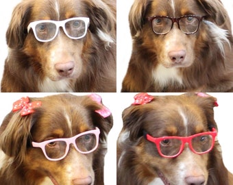 Daily wear Costume Photo shoot G008 Dog Clear lens Aviator turbo Glasses retro hipster sunglasses Medium to Large Dogs 20lbs /& Over