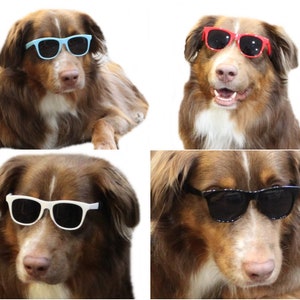 G002 Dog 80s Vintage Retro fashion Sunglasses glasses For Medium to Large Dogs 20lbs-40lbs for Costume and photo shoot