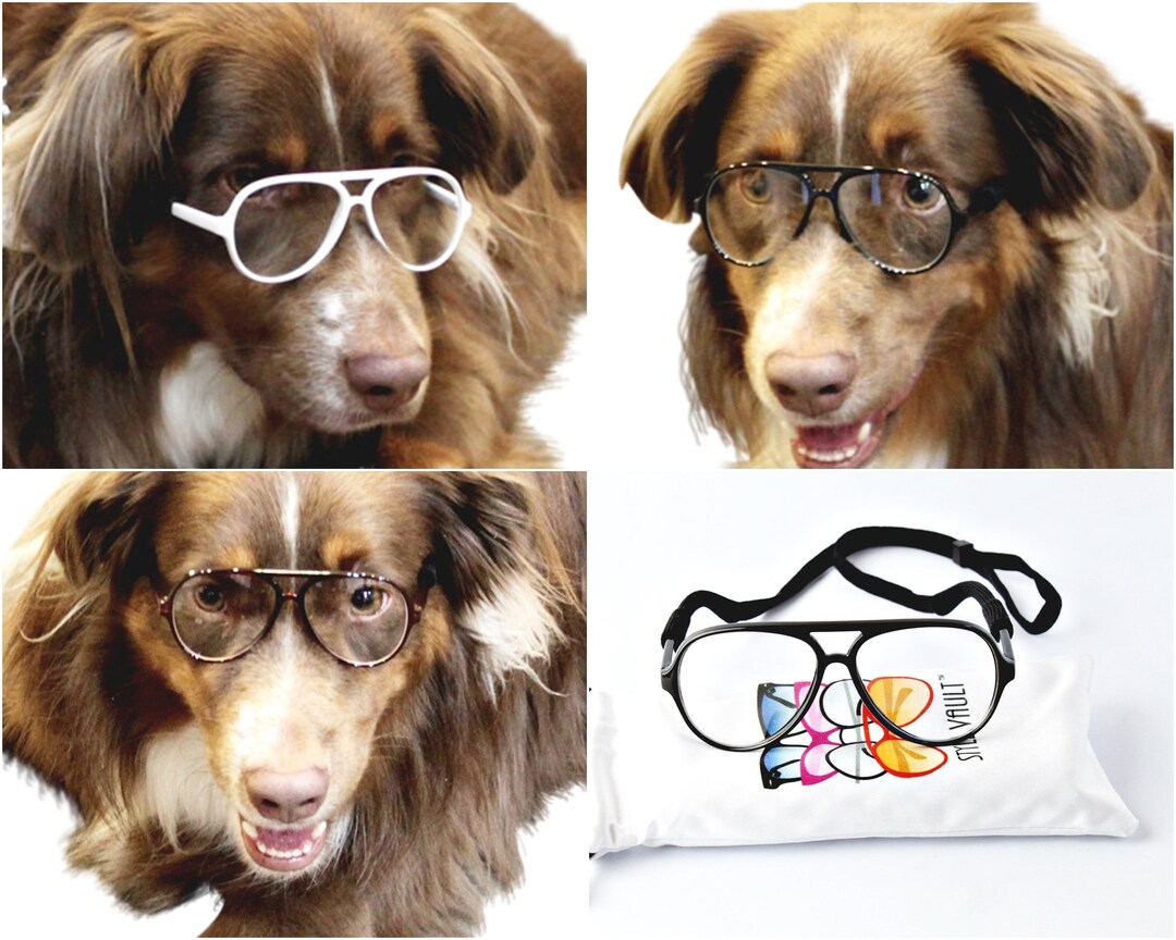 G008 Dog Clear Lens Aviator Turbo Glasses Retro Hipster Sunglasses Medium to Large Dogs 20lbs