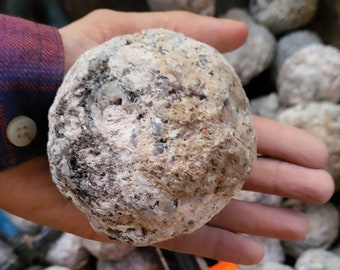 Large Rare Unopened Trancas Geode Large Unopened Geode Specimen from Mexico Crystals Break Your Own Geode Rocks Lapidary  3.5&quot; Geodes