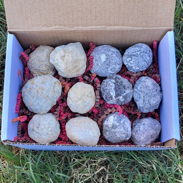 Set of Twelve MINI 1" Break Your Own Geodes Gift Box Gift Set Crystal Quartz Geode Trancas Geodes SMALL geodes Stones Rocks