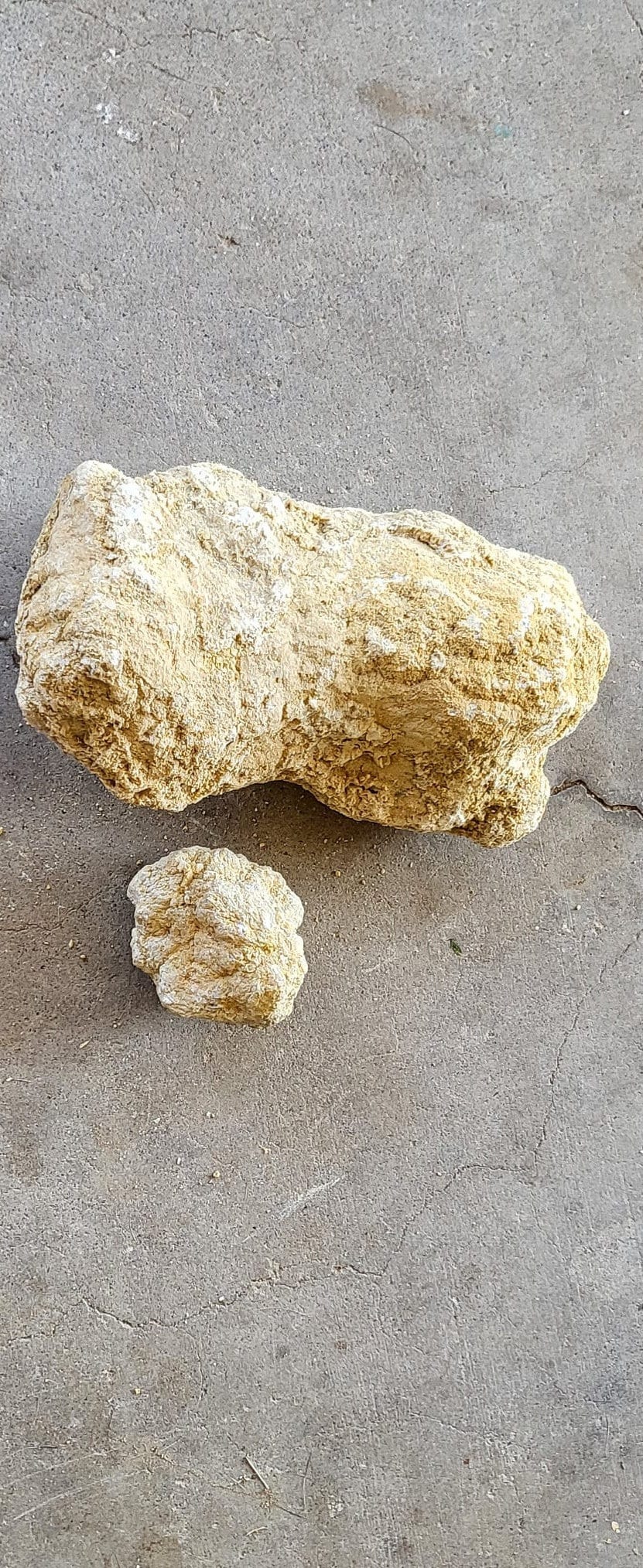 Quartz Rattler JUMBO Rattler GUARANTEED Hollow Geode From Morocco | Rattler Brake Your ...