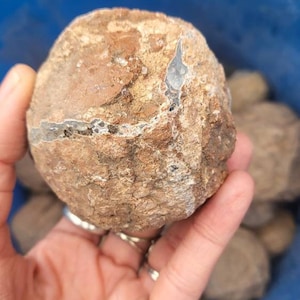 コレクターズアイテム】サンダーエッグ