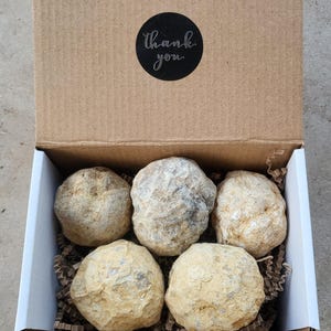 Cut Break Your Own Geodes Gift Box Set of five MEDIUM Unopened Geodes Crystal Quartz Geode Geology Crystals Rocks Lapidary Crystals Gift Box