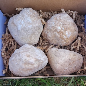 Cut Break Your Own Geodes Set of Four Medium Size 2-3 inch Unopened Crystal Quartz Geodes from Morocco Unopened Geodes Lapidary crystals