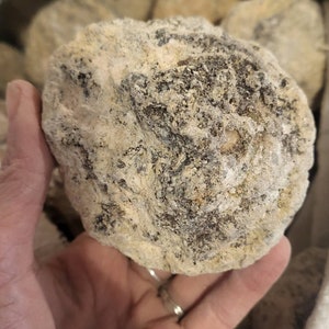 Medium Trancas Geode Large Unopened Trancas Geode from Mexico Break Your Own Geode Lapidary Geology STEM Crystals Rocks Geodes