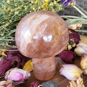 XL Red Hematoid / Fire Quartz Crystal Mushroom Fire Quartz Mushroom Crystals Witchy Polished Stone