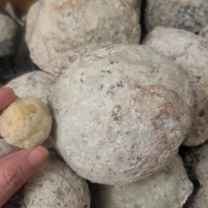 XL RARE Trancas Geode Unopened Trancas Geode from Mexico Rocks Specimen Break Your Own Geode Geology Gift Lapidary Rocks Quartz Gift