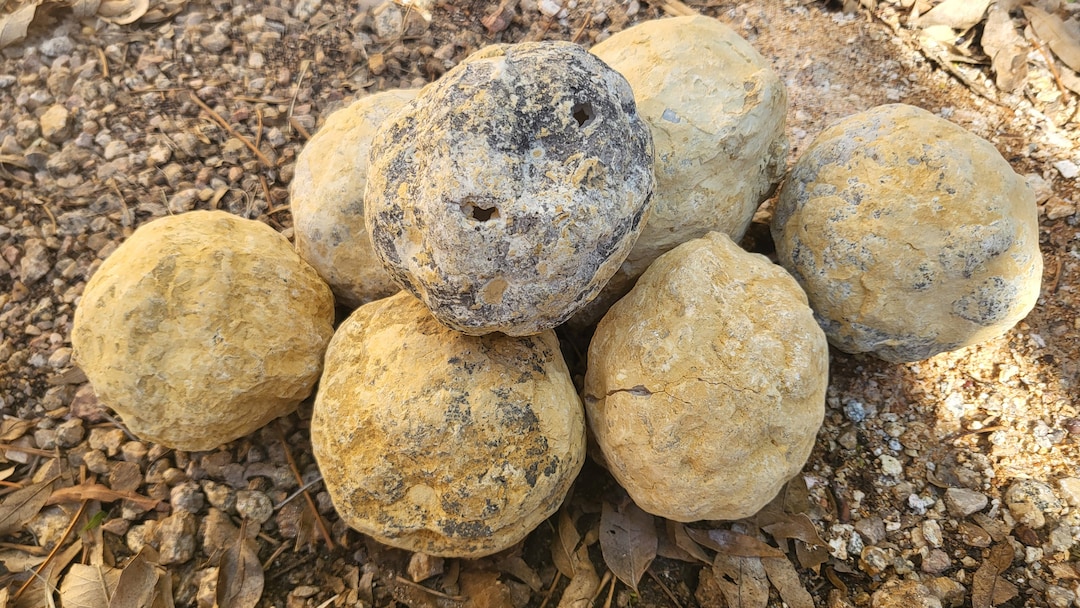 Geode Rocks Raw XL Crystal Quartz Geode Break Your Own Geode Geodes Rocks Raw Stone ...