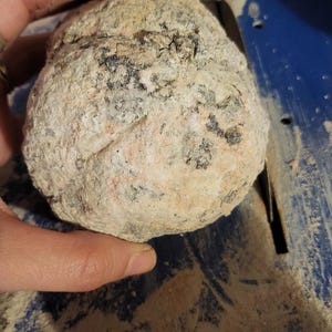 XL Tracas Geode from Mexico Semi Sold Geode Wet Saw Lapidary Rocks Unopened Geodes Agate Crystals Geology Break Your Own Geode Specimen Gift