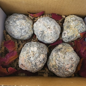 May include: A cardboard box filled with five gray, textured, spherical objects. The objects are surrounded by brown paper and scattered red rose petals. The box is open, revealing the contents.