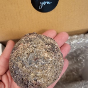 Puede incluir: Primer plano de una geoda grande, redonda, gris y marrón con una superficie rugosa y texturizada. La geoda está siendo sostenida en una mano.