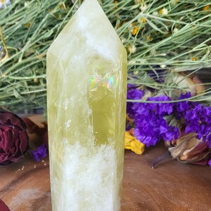 Large Lemon Quartz Tower Lemon Quartz Crystal Crystals Witchy Rainbow Lemon Yellow Tower Gift