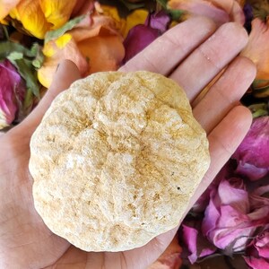 May include: A light beige, textured, round stone is held in an open hand, surrounded by dried rose petals in shades of yellow, orange, and pink. The stone has a rough, uneven surface.